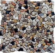 CT20